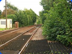 Carol60011