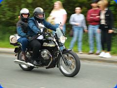 DGR0228