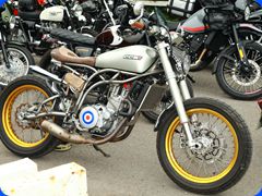 DGR0231