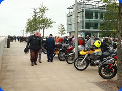 DGR0246