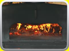 FYP360122