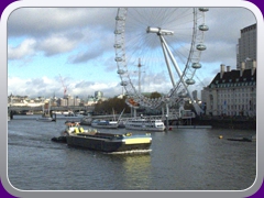 DSCF1641 -1