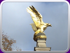 DSCF1650 -1