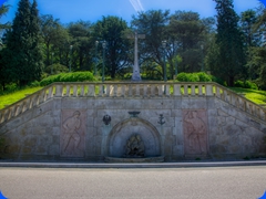 Vigo6