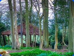 scenery1