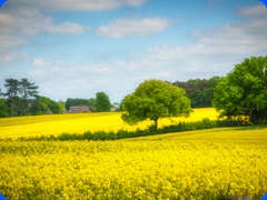 scenery11