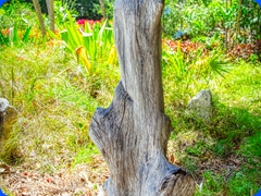scenery20