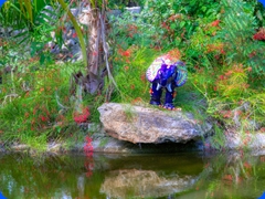 scenery21