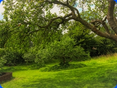 scenery24