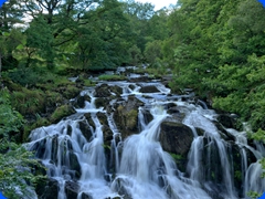 scenery6
