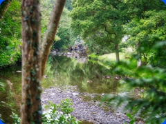 scenery7