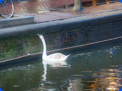 Amsterdam2