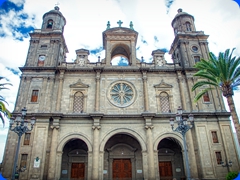 Canaries19