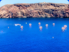 Canaries2