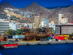 Canaries3