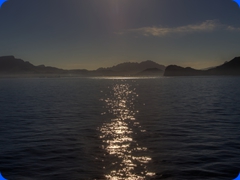 Cape Verdes8