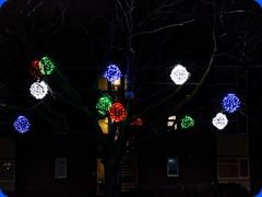 cottingham2