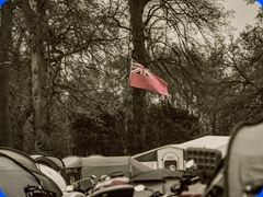 Rallies4