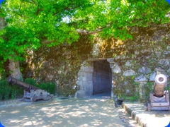 Vigo1