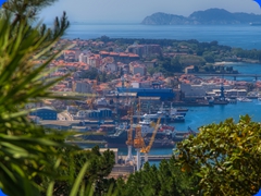 Vigo3