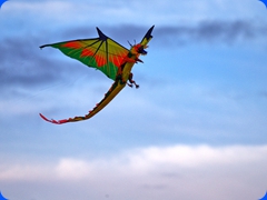 dragon2