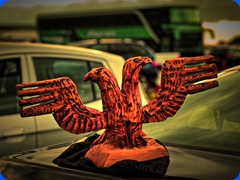 hawk2