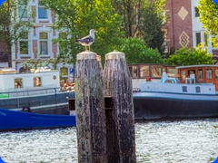 Boat12