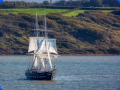 sail7