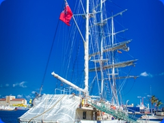 sail8