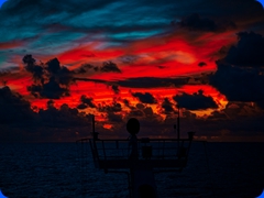 ship30