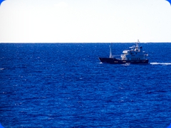 ship44