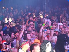 Tribfest20241121