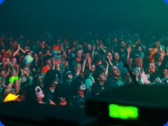 Tribfest20241128