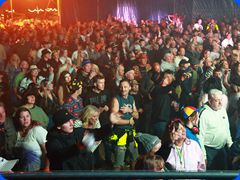 Tribfest20241149