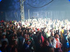 Tribfest20241192