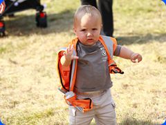 Tribfest20241646