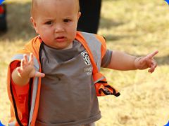 Tribfest20241647