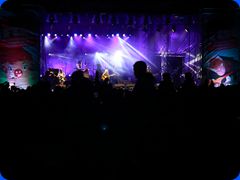 Tribfest20241932