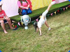 Tribfest20242559