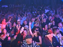 Tribfest20242846