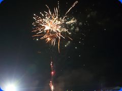 Tribfest20243087