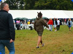 Tribfest20240067