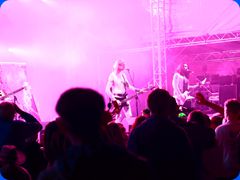 Tribfest20240380
