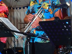 Tribfest20250000_196