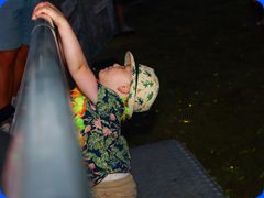 Tribfest20250000_267