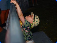 Tribfest20250000_269