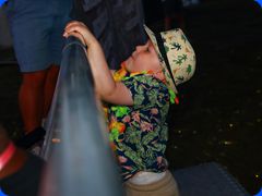 Tribfest20250000_270