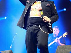 Tribfest20250000_339