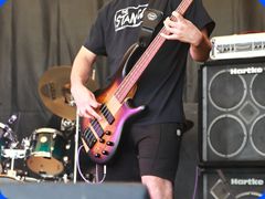 Beaver00038