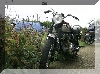 IMG_0970.jpg
